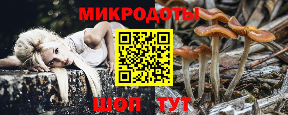 Армавир  Галлюциногенные грибы ЛСД  Псилоцибиновые грибы MAGIC MUSHROOMS  где найти наркотики  Вход с VPN 